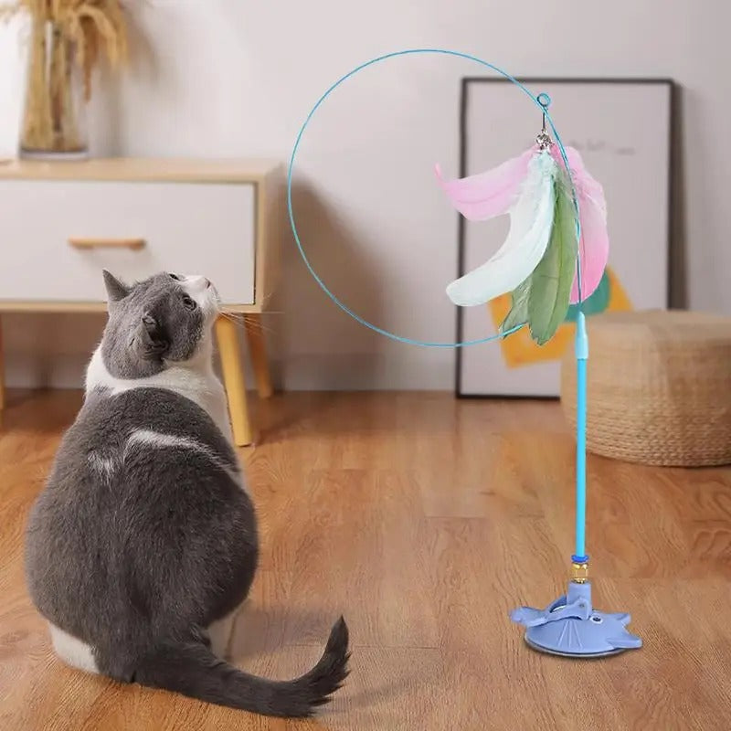 Suction Cup Cat Toy